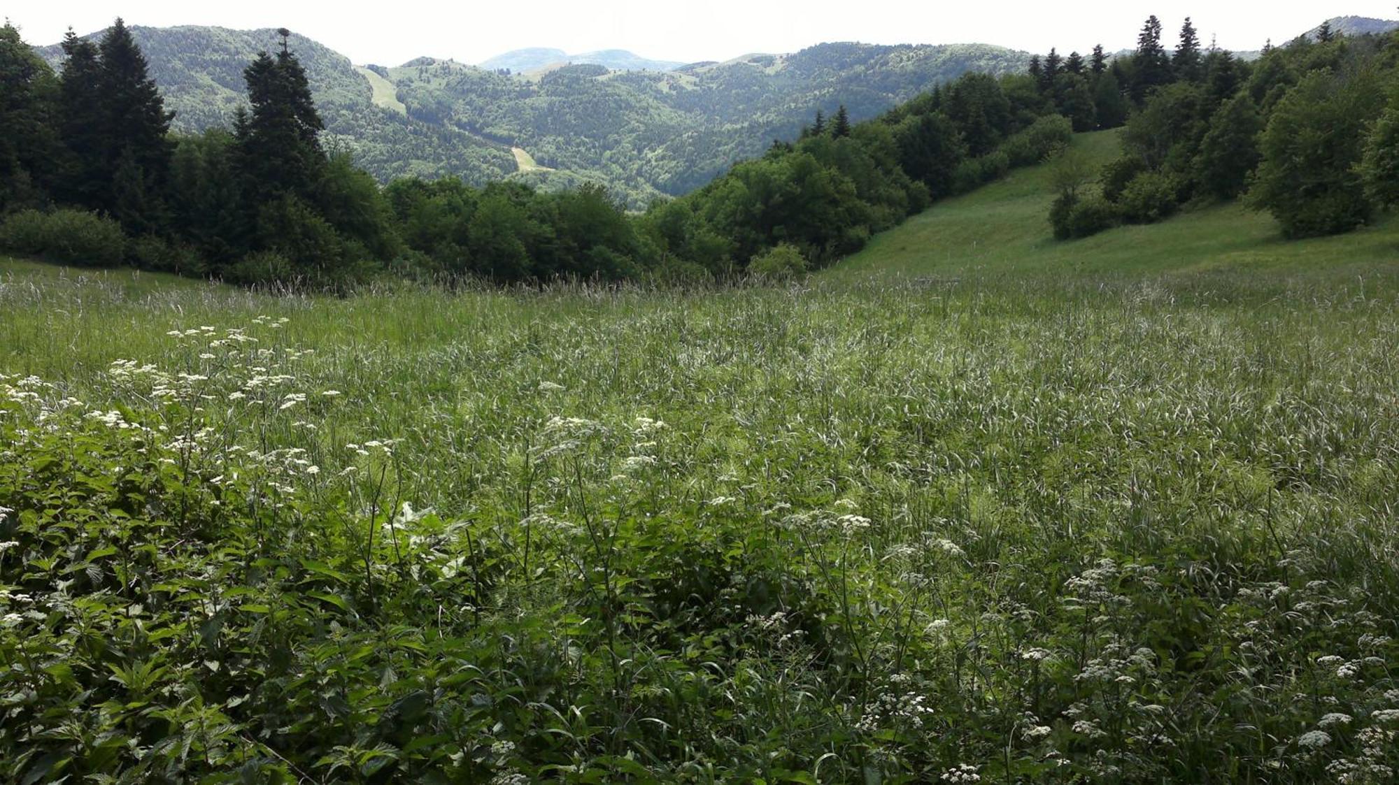 Apartmany Weissov Dom Banská Štiavnica Exterior foto